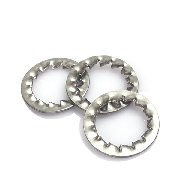 Stainless Steel Carbon Steel Custom Washer