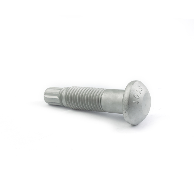 HDG Black Oxide High-strength Bolt Connection Set Torsion-bending Bolt Torsional Shear Bolts Steel Structure Bolt