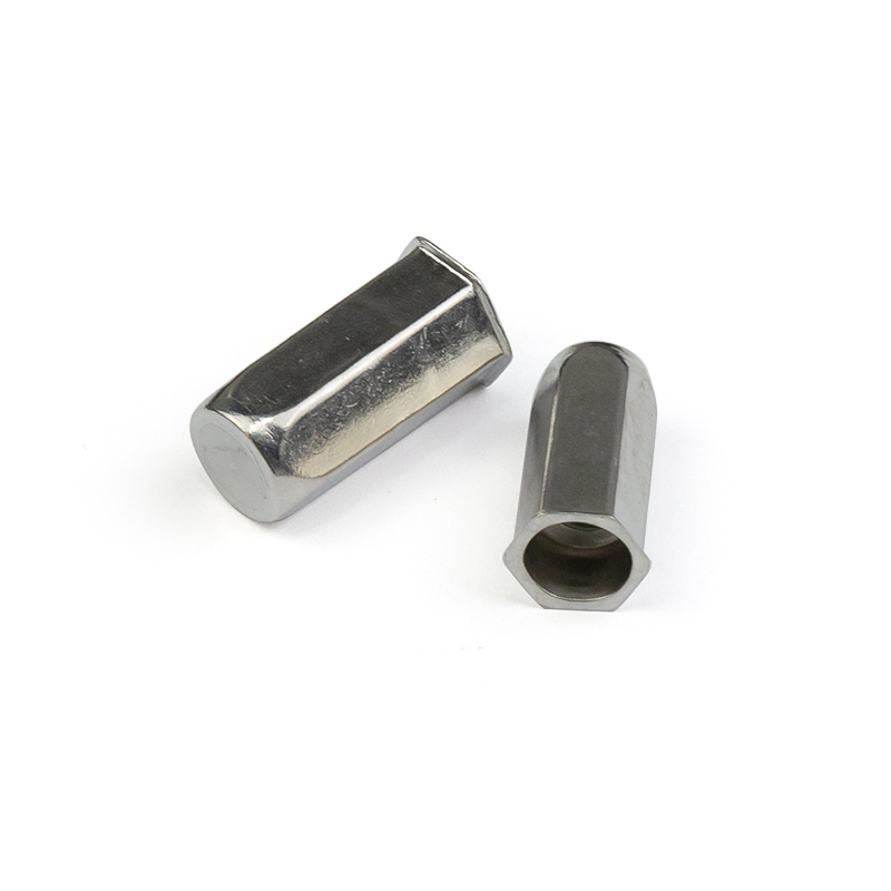 Stainless Steel Reduce Head Full Hex Body Closed End Rivet Nut