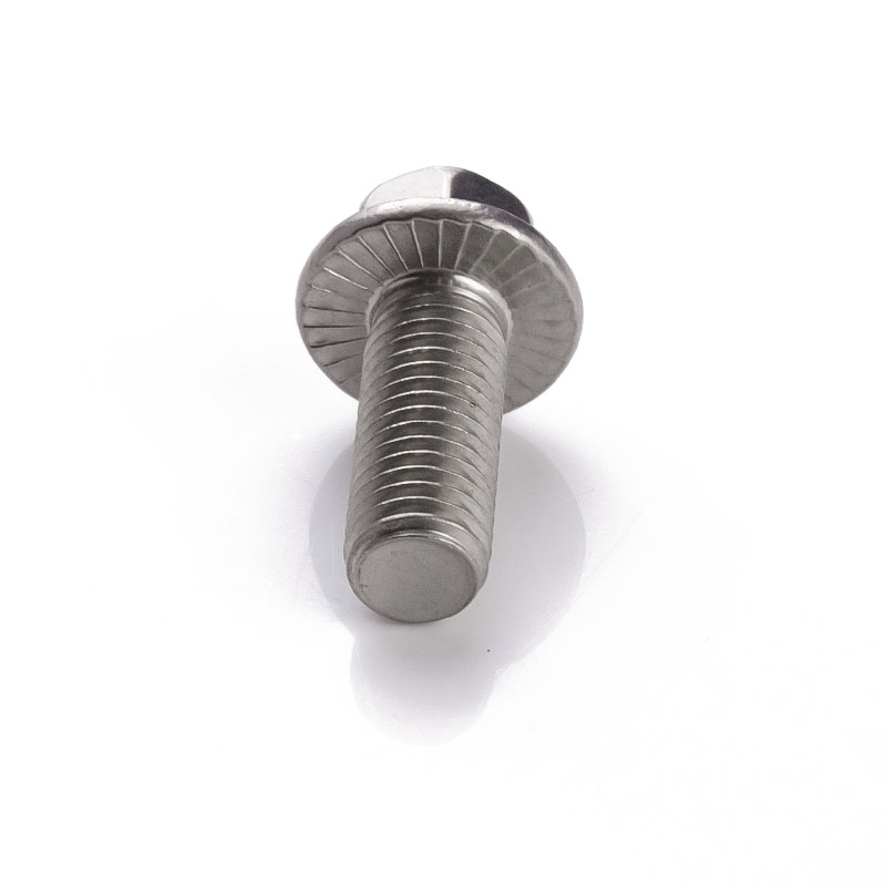 Stainless Steel Flange Bolt