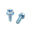 Socket Head Flange Bolts
