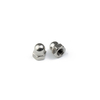 Din1587 Stainless Steel Hex Cap Nut Acorn Nut Dome Nut