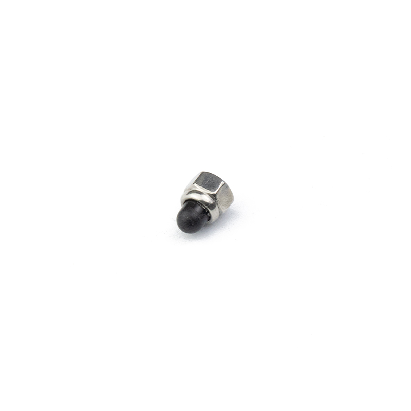 M6 M10 Din986 Stainless Steel Hex Nylon Cap Nut Acorn Dome Nut 