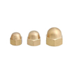 Stainless Steel Carbon Steel Hex Cap Nut