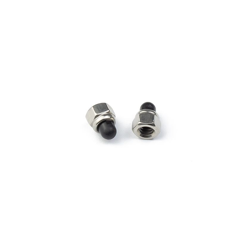 M6 M10 Din986 Stainless Steel Hex Nylon Cap Nut Acorn Dome Nut 