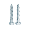 Din571 Hex Lag Screw