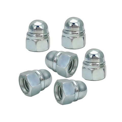 Stainless Steel Carbon Steel Hex Cap Nut