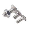 Stainless Steel Carriage Bolt