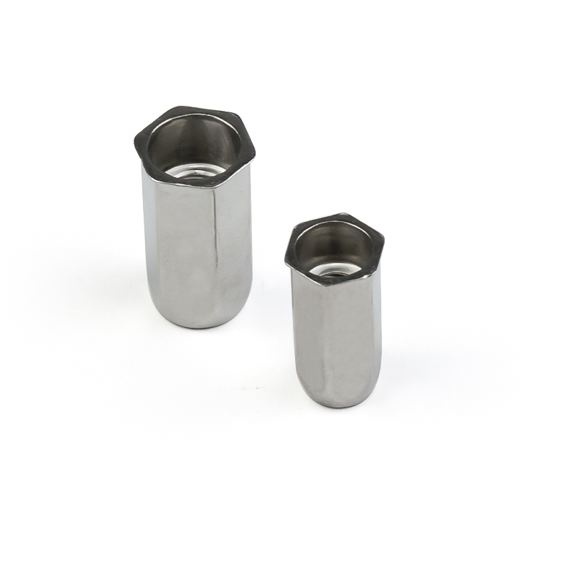Stainless Steel Reduce Head Full Hex Body Closed End Rivet Nut