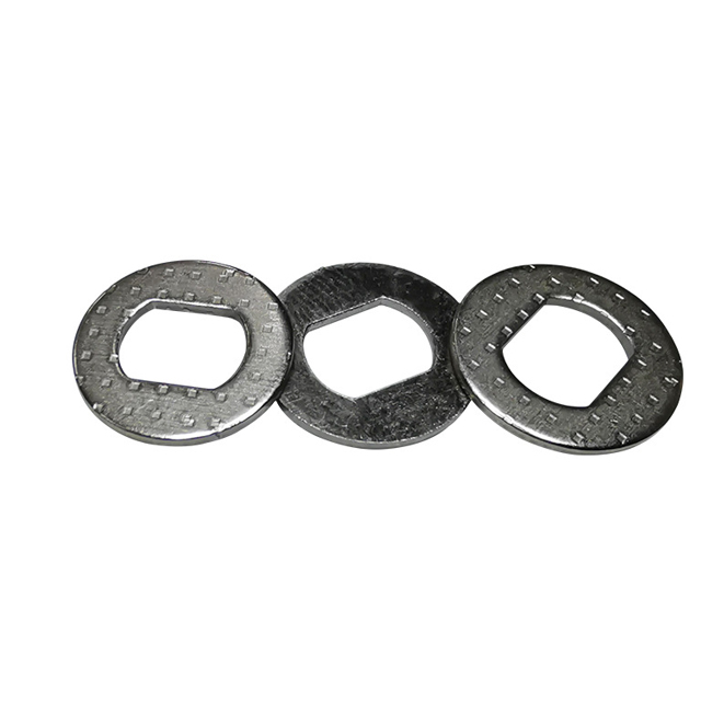 Stainless Steel Carbon Steel Custom Washer