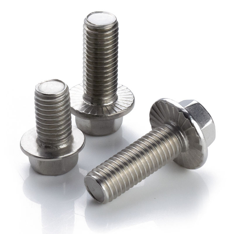 Stainless Steel Flange Bolt