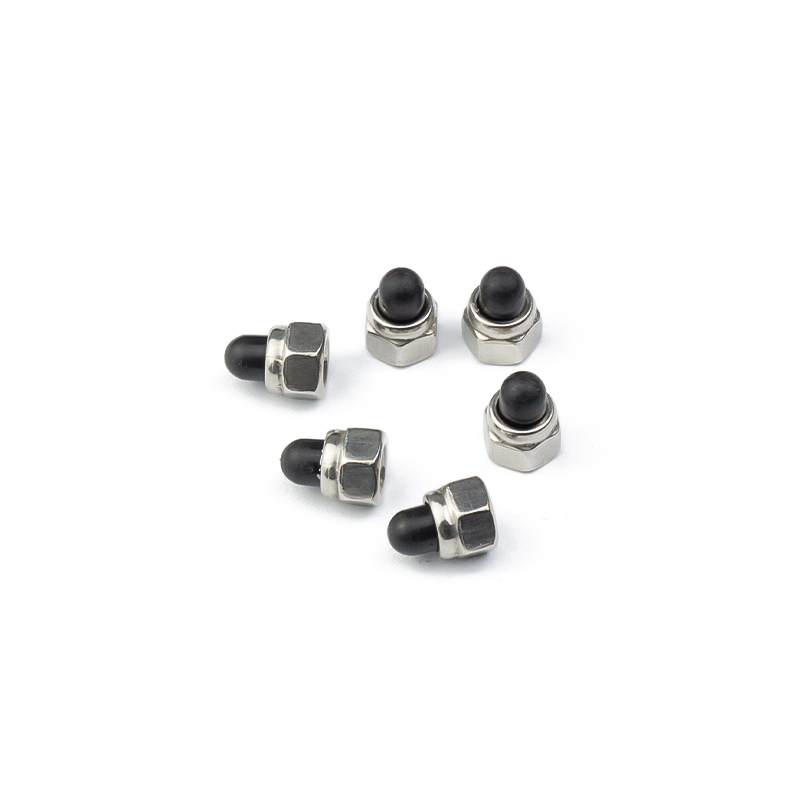 M6 M10 Din986 Stainless Steel Hex Nylon Cap Nut Acorn Dome Nut 